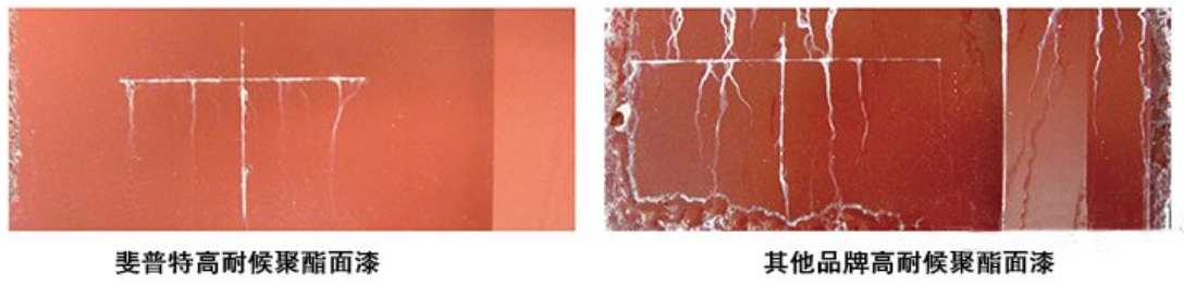 耐中性試驗結果(guǒ)2.png 耐中性試(shì)驗(yàn)結果2.png