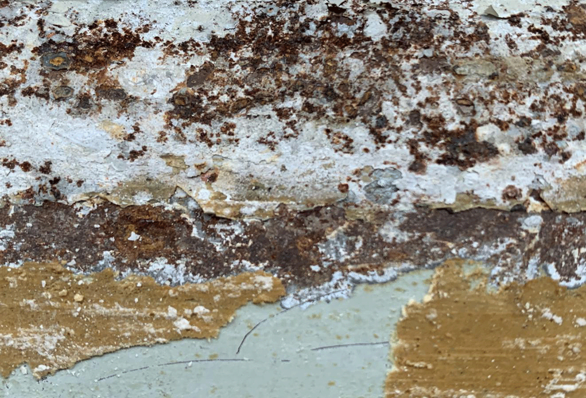 圖片1.png 圖片1.png