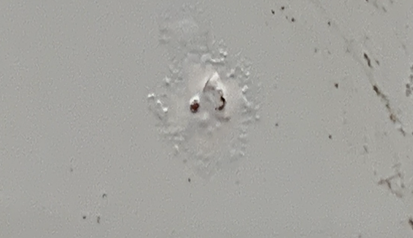 圖(tú)片3.png 圖片3.png