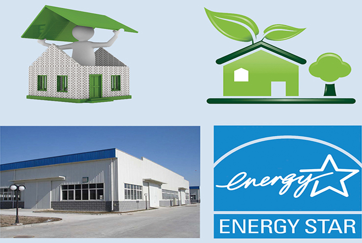 網紗.jpg 網紗.jpg