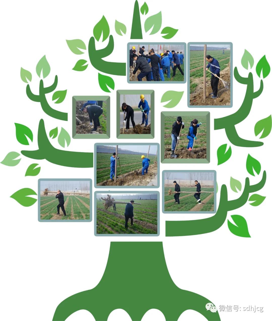 植樹節2.jpg 植樹節2.jpg