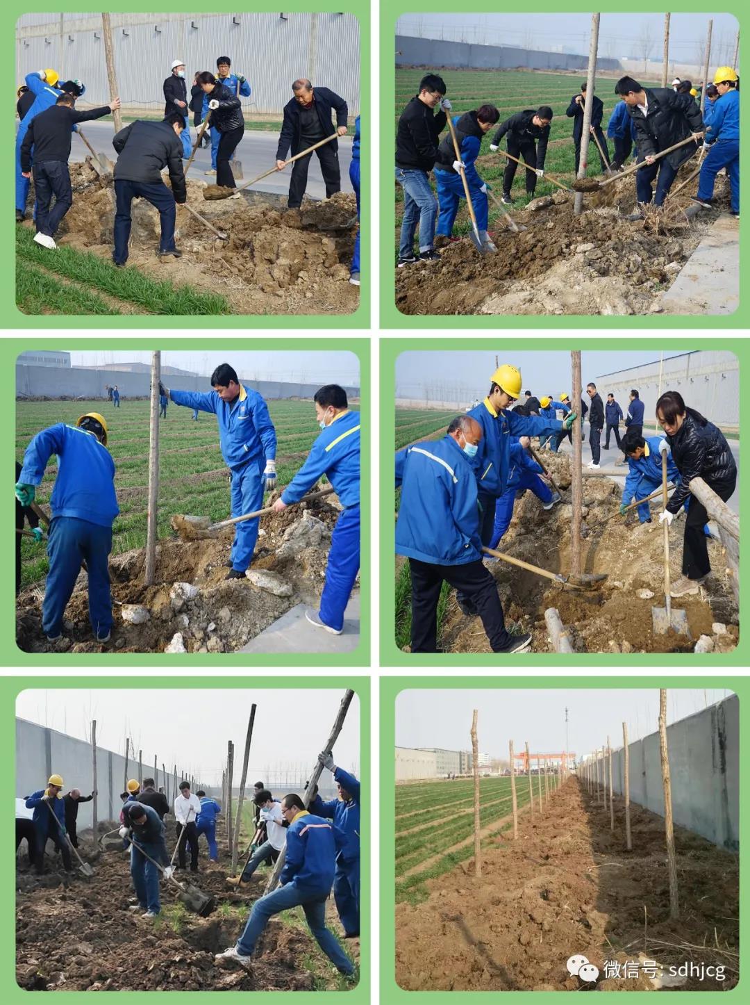 植樹(shù)節.jpg 植樹節.jpg