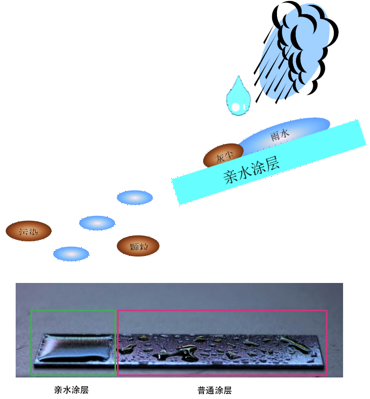 親水1.jpg 親水1.jpg