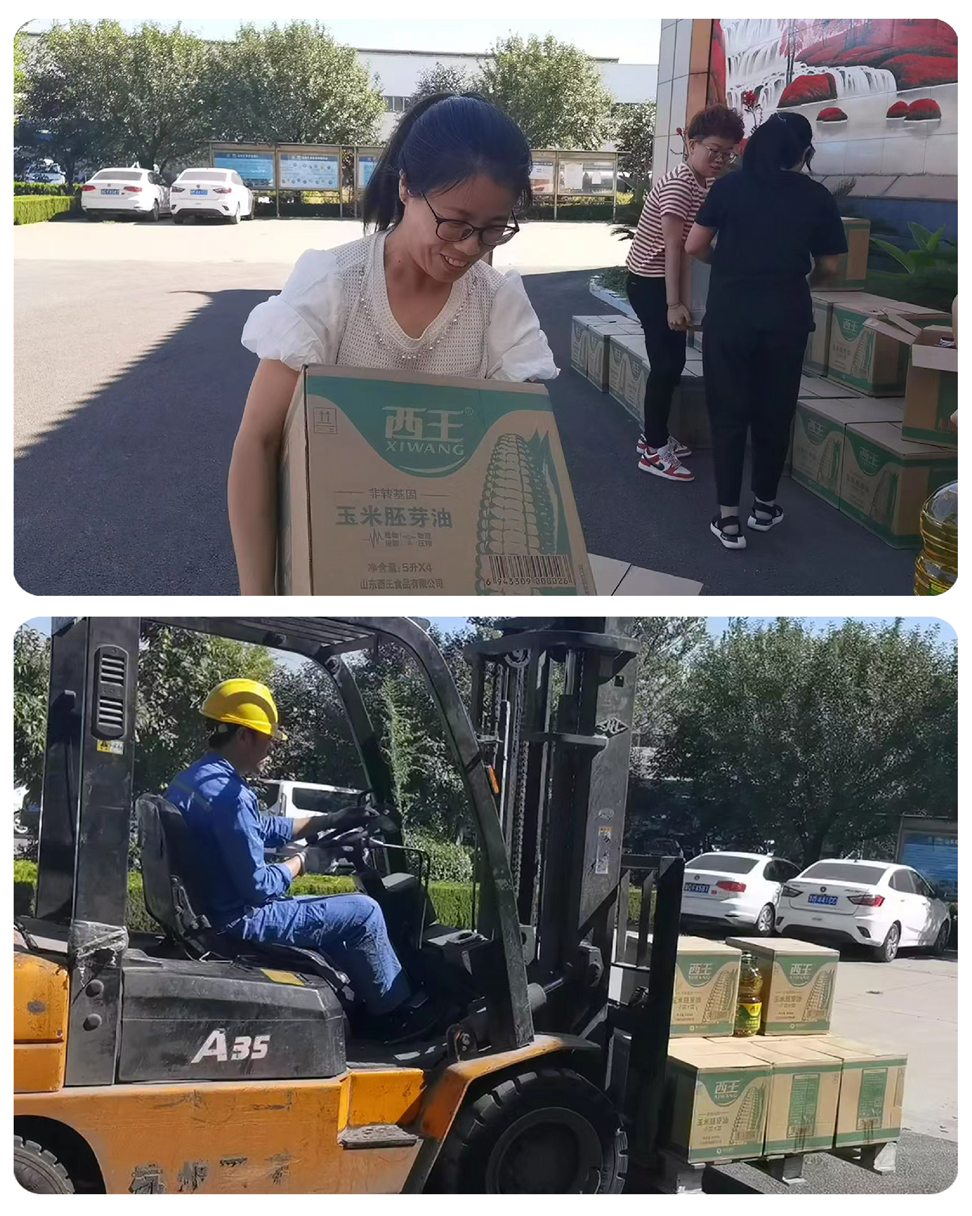 1662626535275179.png 003.png